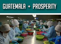 Guatemala + Prosperity